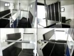 Cheval Liberte Pferdeanhänger Multi Max 2 | schwarz-Neu – Bild 10